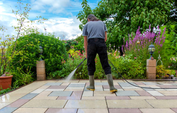 Best Sidewalk and Walkway Cleaning  in Natalbany, LA